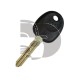 LLAVE CON TRANSPONDER SANTA FE 06+ ID46 HYN14R \"C\"