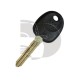 LLAVE CON TRANSPONDER SANTA FE 06+ ID46 HYN14R \"C\"