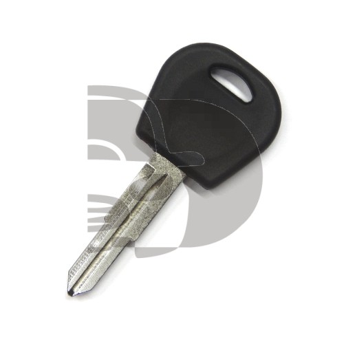 KEY VIRGIN LANOS (ID48)