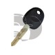 KEY WITH TRANSPONDER ACCINT -X- (ID4C)