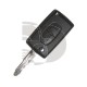 KEY+REMOTE C-ZERO ID46 2011-