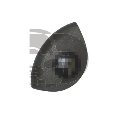 LOGO-CARCASA PARA MANDO P-807 OVAL