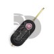 LLAVE+MANDO G.PUNTO DOBLO 500 NEMO ID46 433MHZ ASK